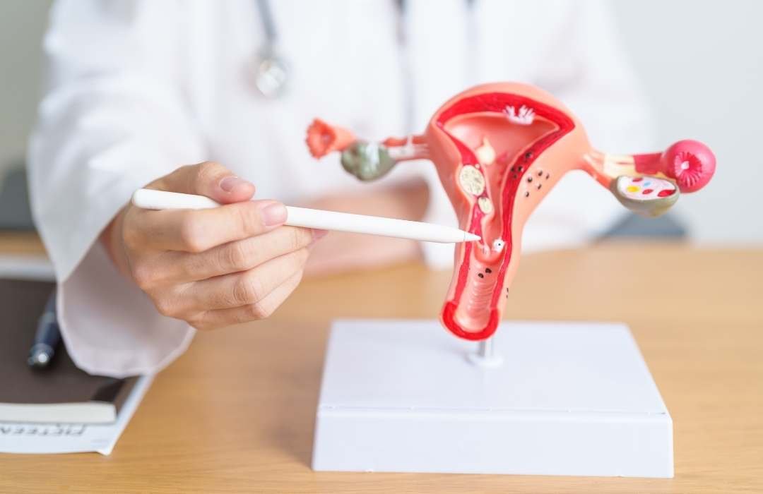 reproductive medicine