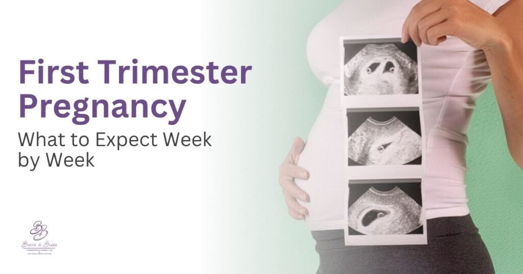 First Trimester Pregnancy What to Expect Week by Week